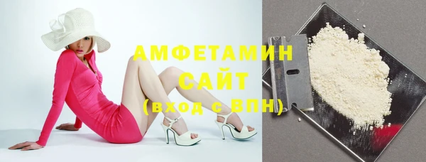 прущие грибы Аркадак