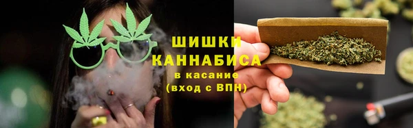 прущие грибы Аркадак