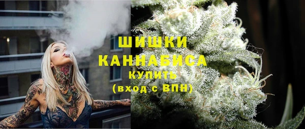 гидра Арсеньев
