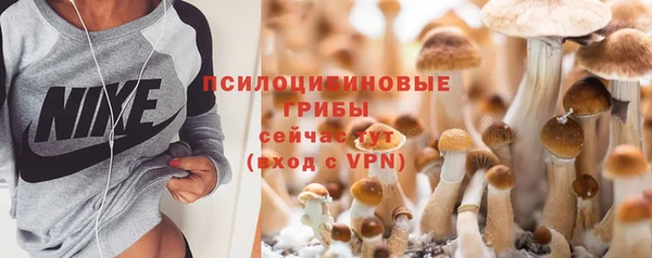 дмт Россошь