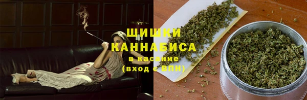 прущие грибы Аркадак