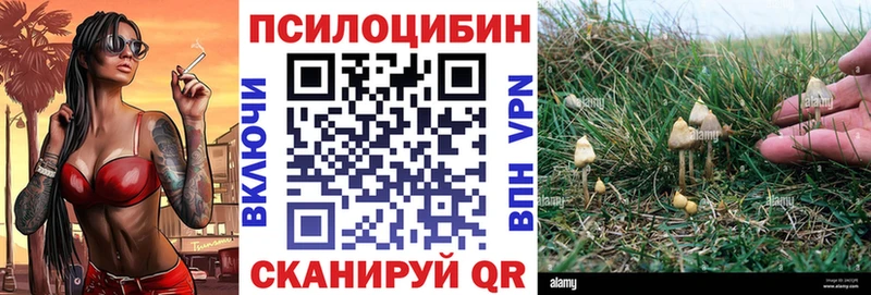 Псилоцибиновые грибы Magic Shrooms  Арсеньев 